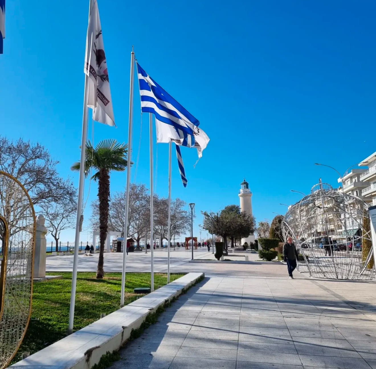 Discover the Flavors of Thasos: The Best Virgin Olive Oil and Honey in Alexandroupolis
